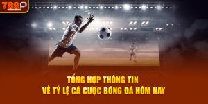 Tổng hợp thông tin về tỷ lệ cá cược bóng đá hôm nay